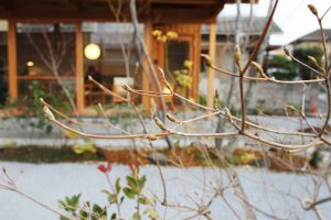 img_5031-1280x852