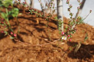 img_5043-1280x853
